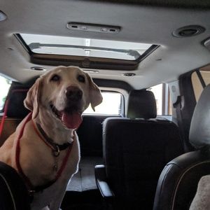 Meet your Posher, Keri